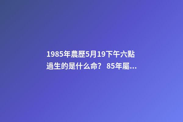 1985年農歷5月19下午六點過生的是什么命？ 85年屬牛女辰時出生命運怎樣，85年屬牛的人一生運程-第1張-觀點-玄機派